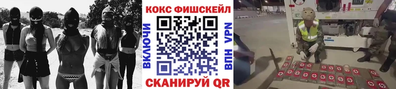 omg рабочий сайт  Златоуст  COCAIN Fish Scale 