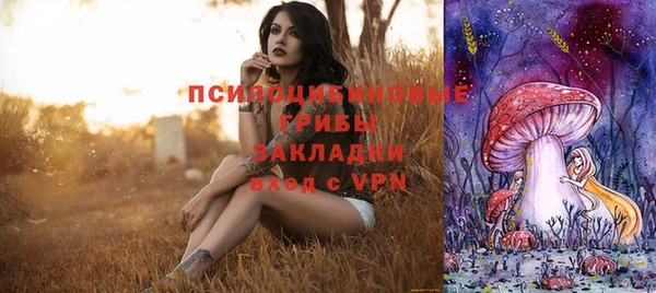 PSILOCYBIN Михайловка