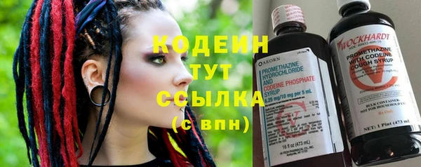 индика Надым