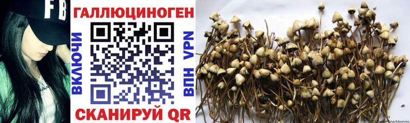 Псилоцибиновые грибы ЛСД  где купить наркоту  даркнет какой сайт  Златоуст 