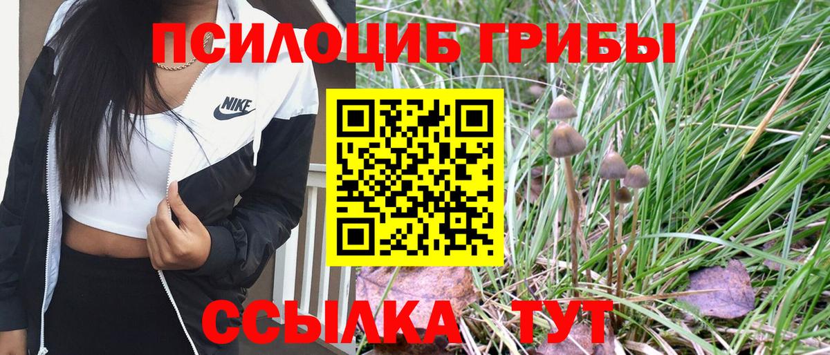 цены наркотик  Златоуст  Галлюциногенные грибы Psilocybine cubensis 