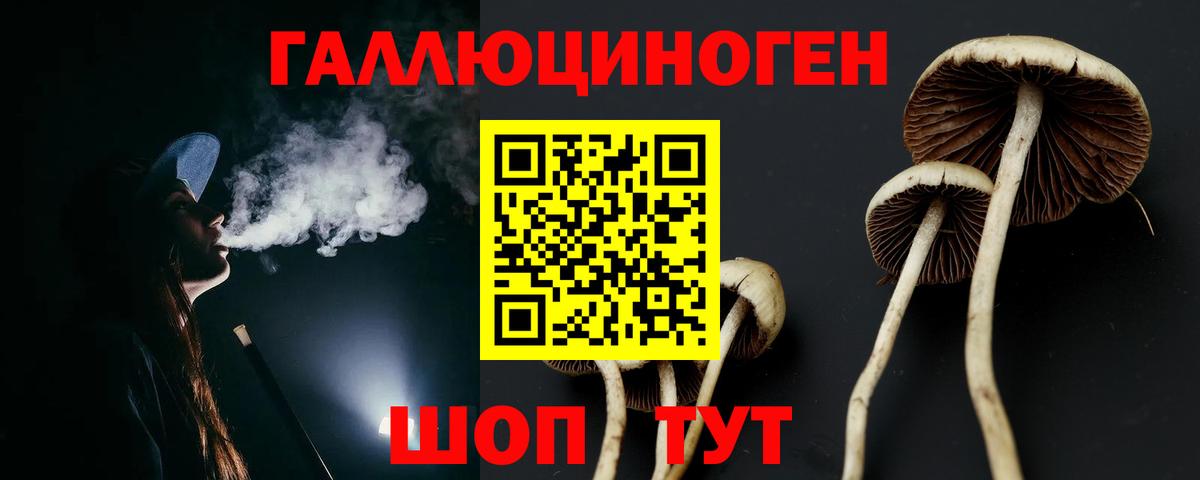 Галлюциногенные грибы GOLDEN TEACHER Златоуст