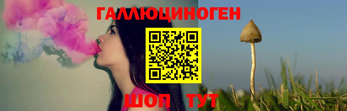 где купить наркотик  Вход с VPN  Златоуст  Галлюциногенные грибы Psilocybine cubensis 